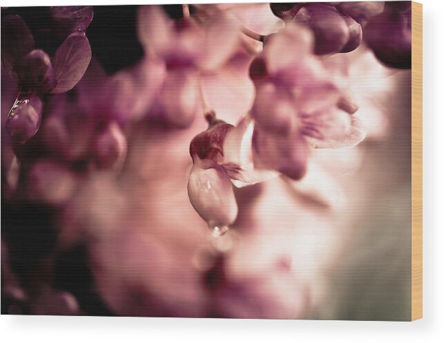 Blooming Wood Print featuring the photograph Blossom by Jason Naudi Photography