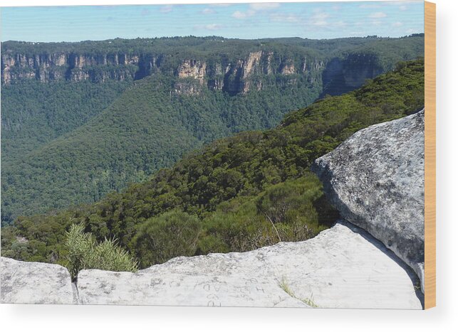 Australia Wood Print featuring the photograph Blue Mountains #1 by Carla Parris