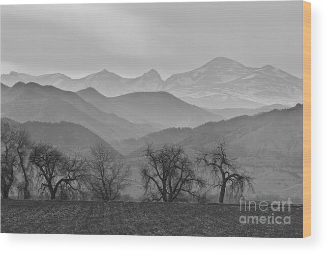 Boulder Wood Print featuring the photograph Boulder County Layers BW by James BO Insogna