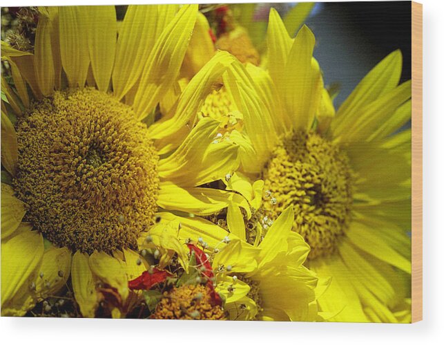 Agriculture Wood Print featuring the photograph Bouquet with sunflowers by Emanuel Tanjala