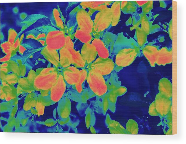 Nature Wood Print featuring the photograph Brilliant Blossoms II by Tessa Murphy