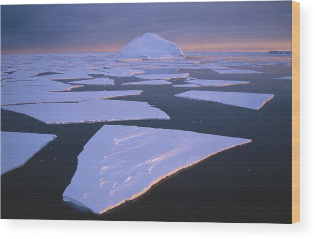 Mp Wood Print featuring the photograph Broken Fast Ice, Under Impending by Tui De Roy