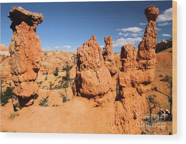 Bryce Canyon National Park Wood Print featuring the photograph Bryce Canyon Hoodoos by Adam Jewell