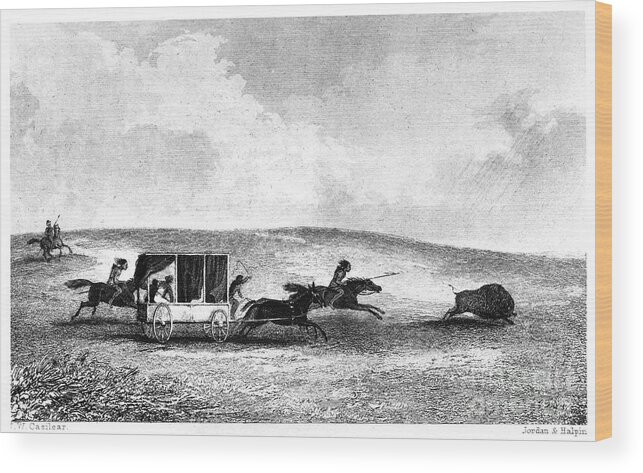 1841 Wood Print featuring the photograph Buffalo Hunt, 1841 by Granger