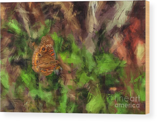 Butterfly Wood Print featuring the photograph Butterfly Camouflage by Dan Friend