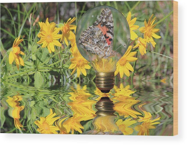 Butterfly Wood Print featuring the photograph Butterfly In A Bulb II - Landscape by Shane Bechler