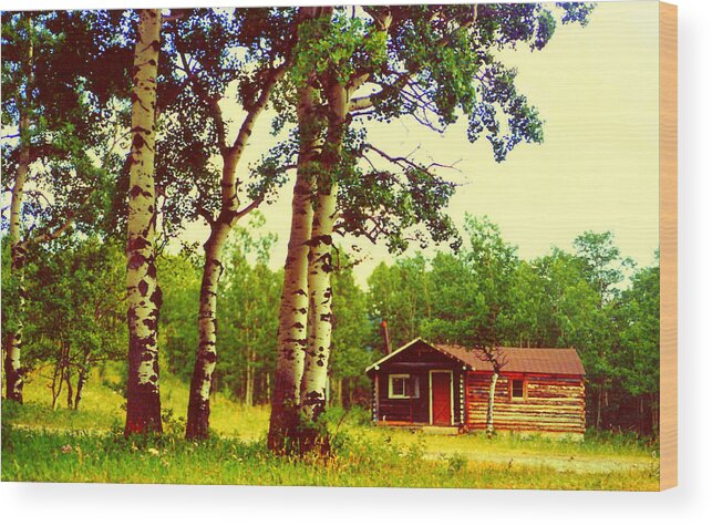 Cabin And Birch Trees Wood Print featuring the photograph Cabin and Birch Trees by Lou Ann Bagnall