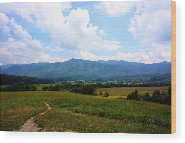 Cades Cove Wood Print featuring the photograph Cades Cove by Susie Weaver