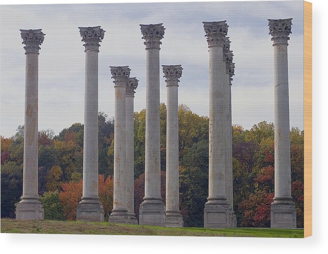 Landscape Wood Print featuring the photograph Capital Columns by Pat Exum