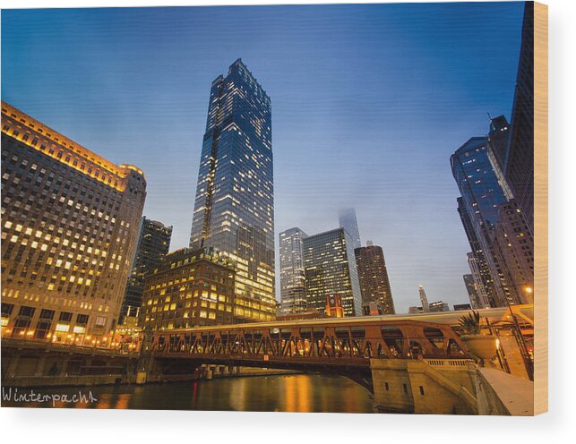Chicago Wood Print featuring the photograph Chicago River by Raf Winterpacht