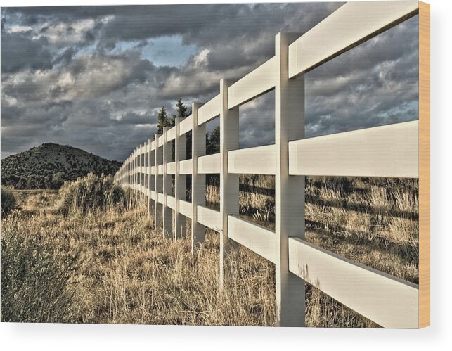 Fence Wood Print featuring the photograph Choose A Side by Mark Ross