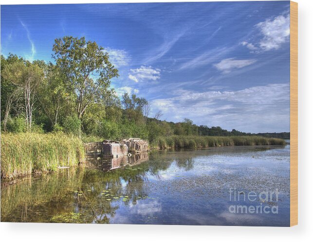 Swamp Wood Print featuring the photograph Clouds in the water by Dejan Jovanovic