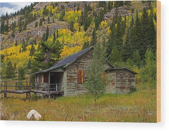 Aspen Wood Print featuring the photograph Colorado Autumn by Farol Tomson
