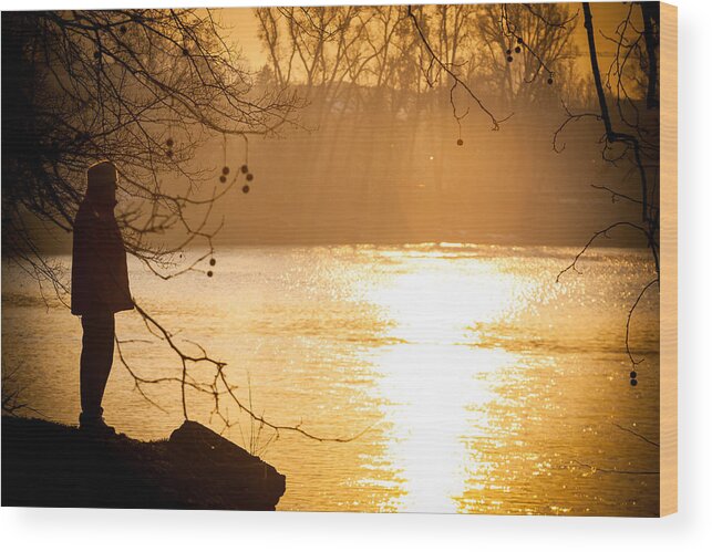 Fiume Wood Print featuring the photograph Contemplating by Sonny Marcyan