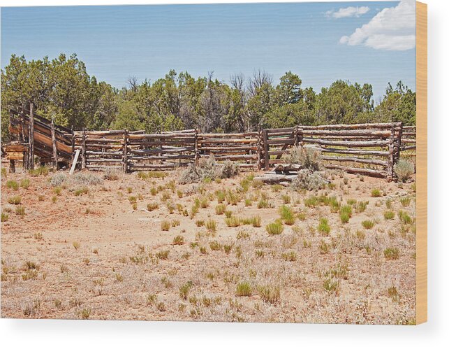 Corral Wood Print featuring the photograph Corral by Bob and Nancy Kendrick