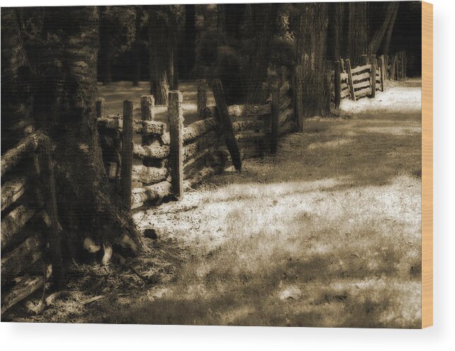 Country Wood Print featuring the photograph Country Romance by Terrie Taylor