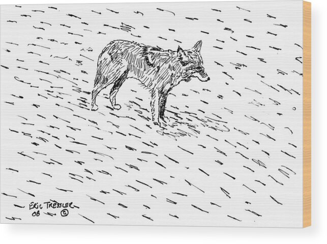 Coyote Wood Print featuring the photograph Coyote Pause by Eric Tressler