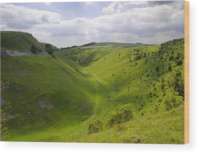 Derbyshire Wood Print featuring the photograph Cressbrook Dale from Mires Lane by Rod Johnson