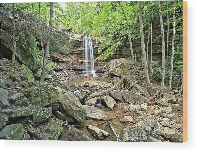 Ohiopyle State Park Wood Print featuring the photograph Cucumber Falls Canyon by Adam Jewell
