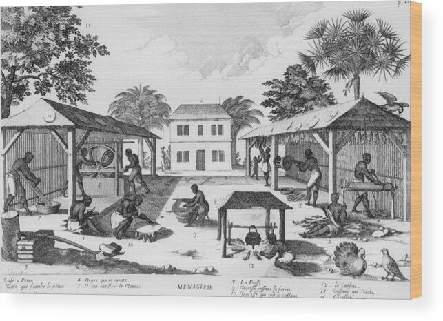 History Wood Print featuring the photograph Daily Life For Enslaved Africans by Everett