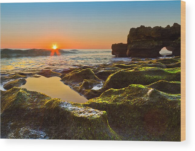 Blowing Rocks Wood Print featuring the photograph Dawn Pool by Debra and Dave Vanderlaan