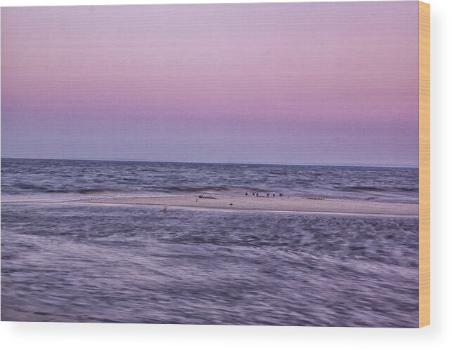 Delaware Bay Wood Print featuring the photograph Delaware Bay Dawn by Tom Singleton