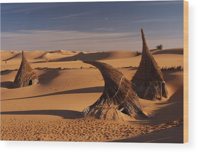 Desert Wood Print featuring the photograph Desert luxury by Ivan Slosar