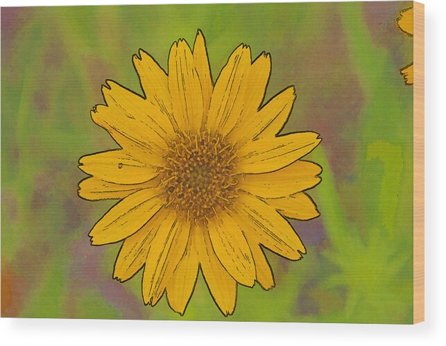 Flower Wood Print featuring the photograph Digital Flower by Gregory Scott