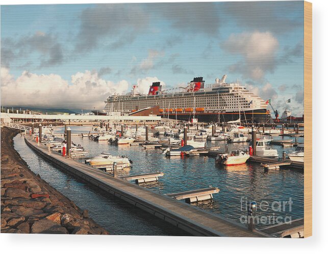 Ship Wood Print featuring the photograph Disney Fantasy by Gaspar Avila