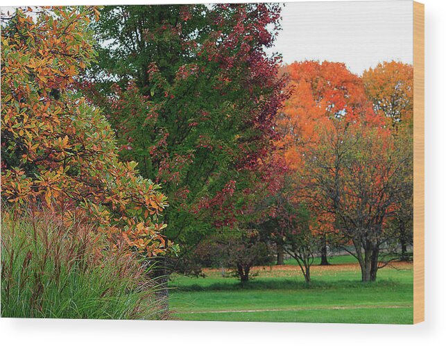 Hovind Wood Print featuring the photograph Distant Fall Color by Scott Hovind