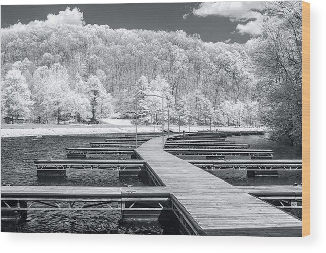 Infrared Wood Print featuring the photograph Dock in infrared by Mary Almond