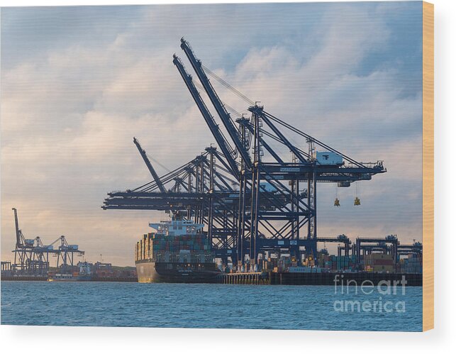 Seascape Wood Print featuring the photograph Docks by Andrew Michael