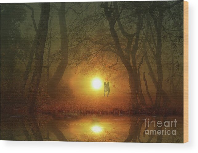 Photograph Wood Print featuring the photograph Dog At Sunset by Bruno Santoro