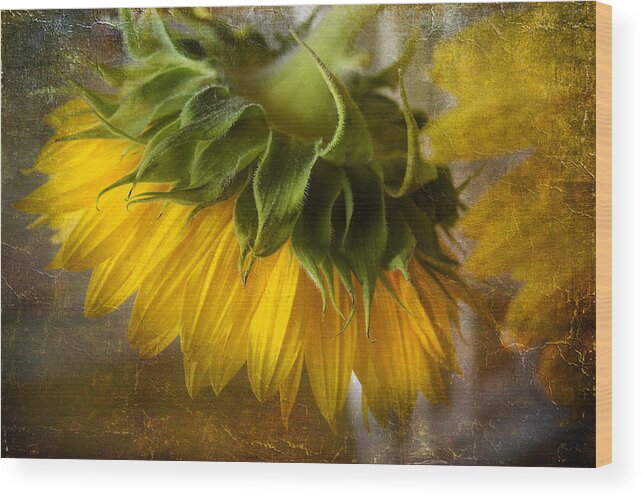 Floral Wood Print featuring the photograph Don't weep for me by John Rivera