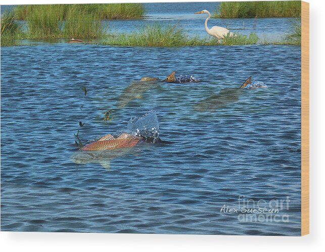 Bonefish Wood Print featuring the painting Duck Pond Reds by Alex Suescun