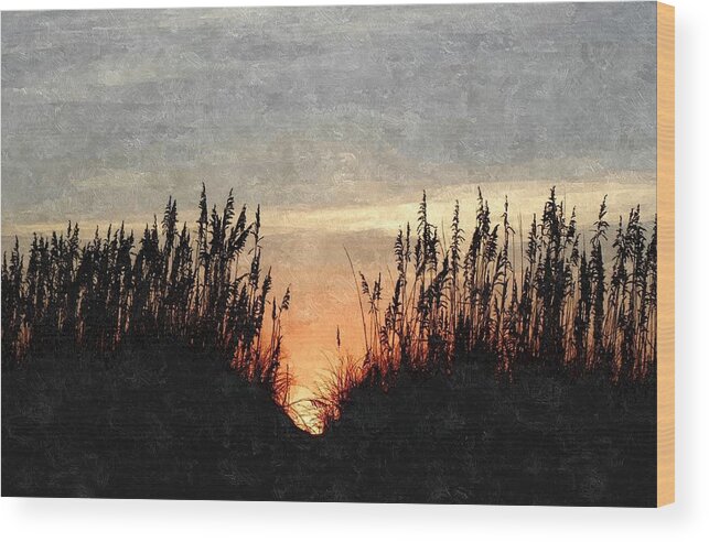 Dunes Wood Print featuring the photograph Dune Peaker by Kim Galluzzo