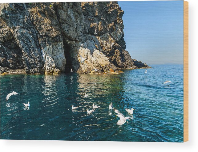 Isola D'elba Wood Print featuring the photograph ELBA ISLAND - Seagulls coast 3 - - Costa dei Gabbiani 3 - ph Enrico Pelos by Enrico Pelos