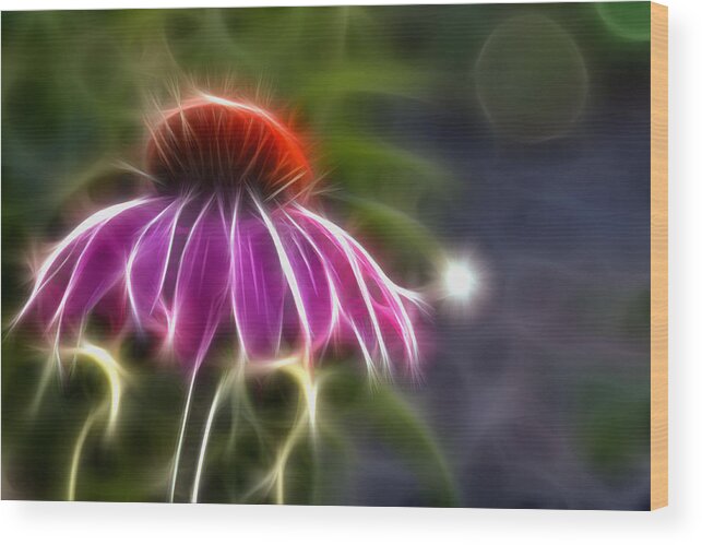 Fractal Wood Print featuring the photograph Electrified Coneflower by Lynne Jenkins