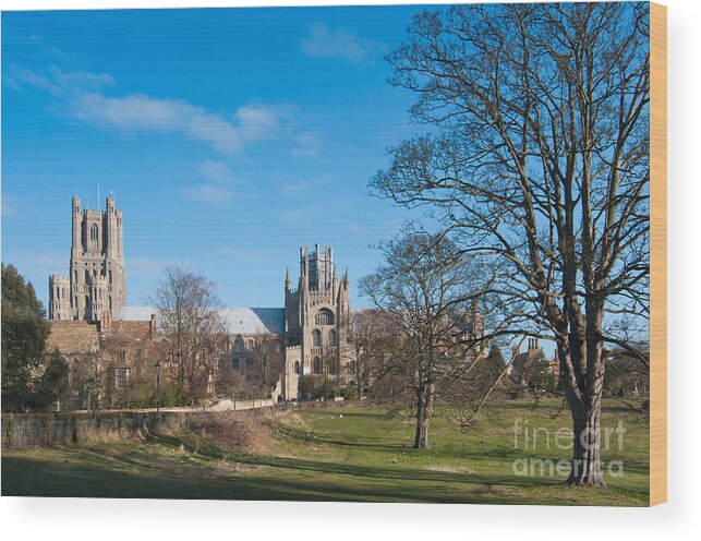 Anglia Wood Print featuring the photograph Ely Scenic by Andrew Michael