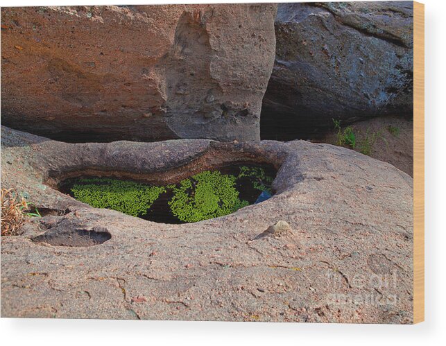 Rocks Wood Print featuring the photograph Emerald Pool by Barbara Schultheis