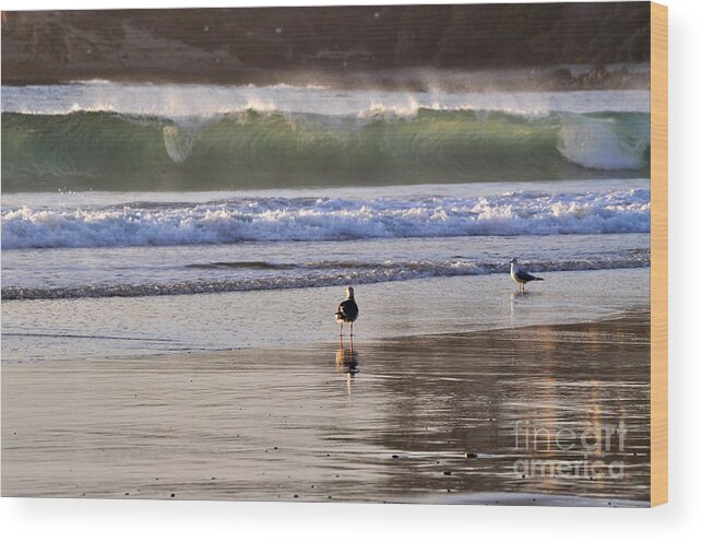 Misty Spray Wood Print featuring the photograph Emerald Wave by Johanne Peale