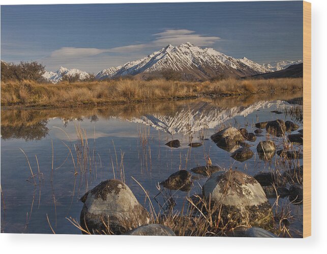 Hhh Wood Print featuring the photograph Erwhon Station Reflection In Branch by Colin Monteath