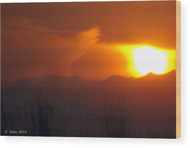 Country Photographs Wood Print featuring the photograph Eye in the Sky by C Sitton