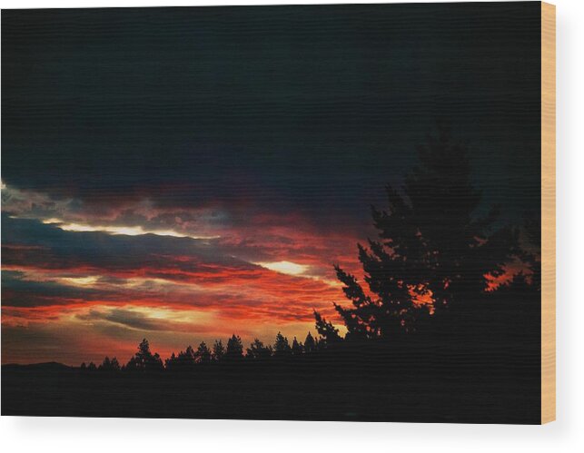 Sunset Wood Print featuring the photograph Eye of Halloween by Kevin Bone