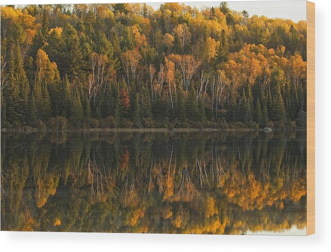 Light Wood Print featuring the photograph Fall Colors Reflected In The Waters by Robert Postma