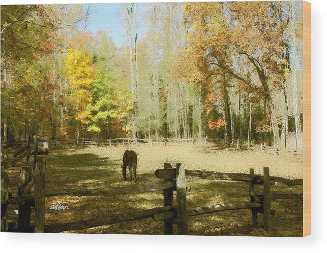 Fall Corral Wood Print featuring the photograph Fall Corral by Seth Weaver