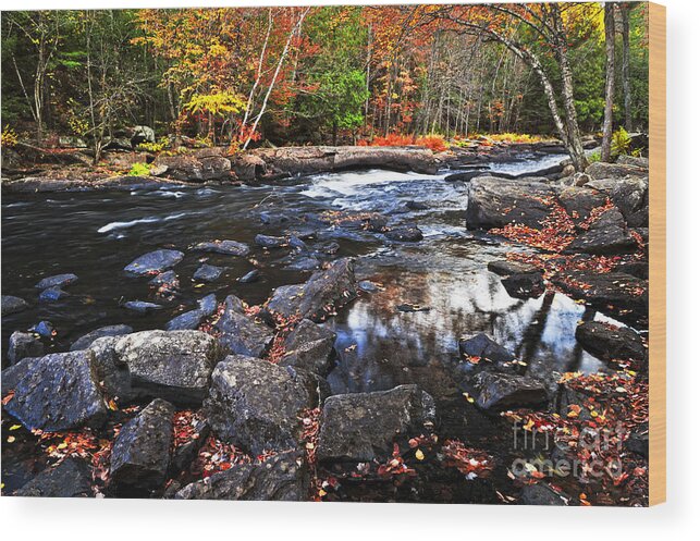 Autumn Wood Print featuring the photograph Fall forest and river landscape 4 by Elena Elisseeva