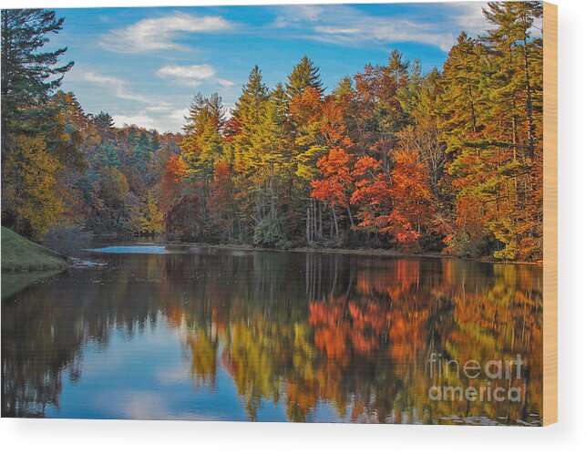 Foliage Wood Print featuring the photograph Fall Reflection by Ronald Lutz