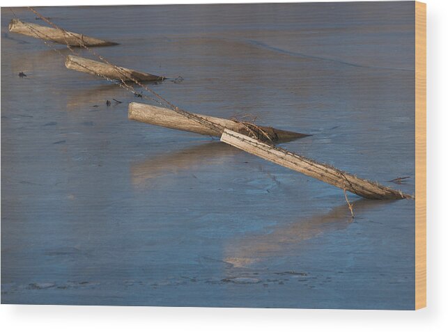 Fence Wood Print featuring the photograph Fallen Fence 5 by David Kleinsasser