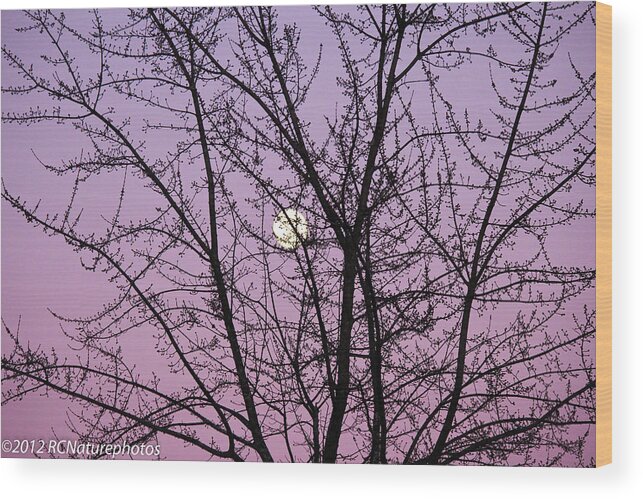 Full Moon Wood Print featuring the photograph February's Full Moon by Rachel Cohen